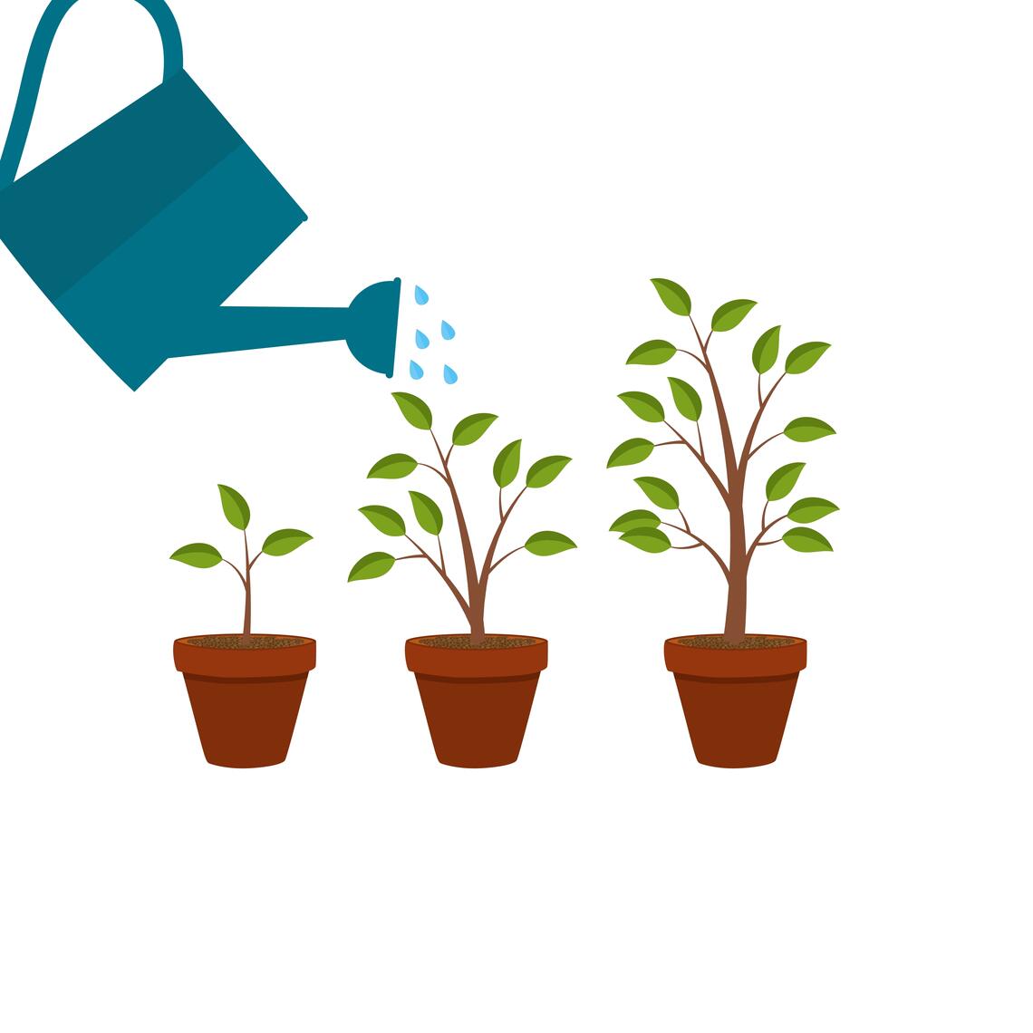 Tree growing at three different stages as a watering can sprinkles water on them