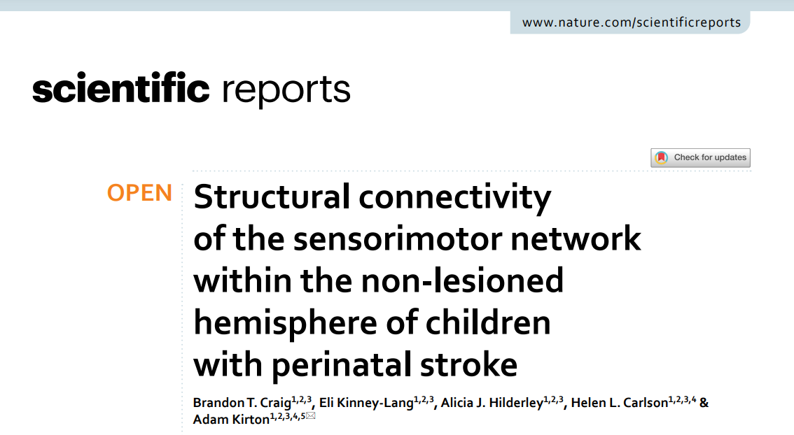 Structural connectivity of the sensorimotor network within the non-lesioned hemisphere of children with perinatal stroke cover photo