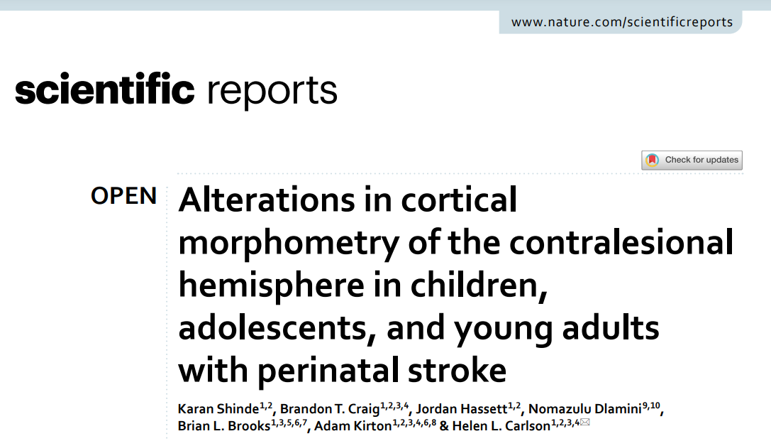 Alterations in cortical morphometry of the contralesional hemisphere in children, adolescents, and young adults with perinatal stroke cover photo