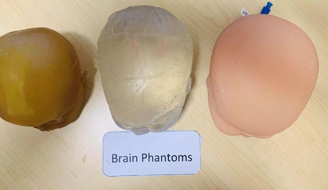 Brain Phantoms