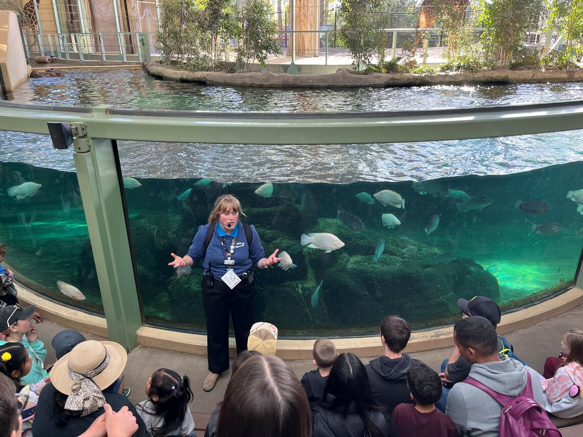 Woman in front of aquarium with audience