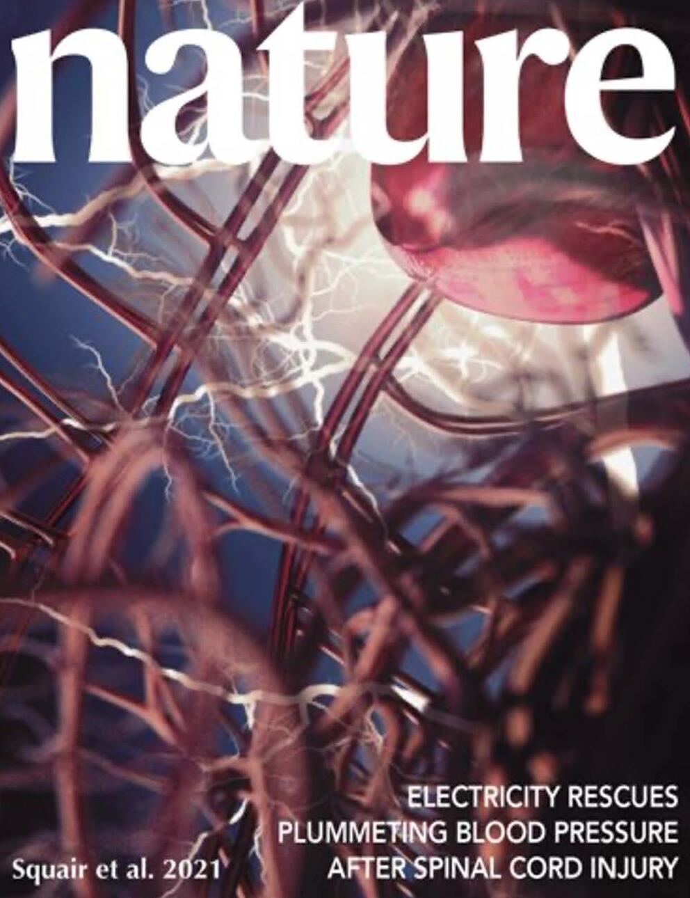 Nature 2021 Cover