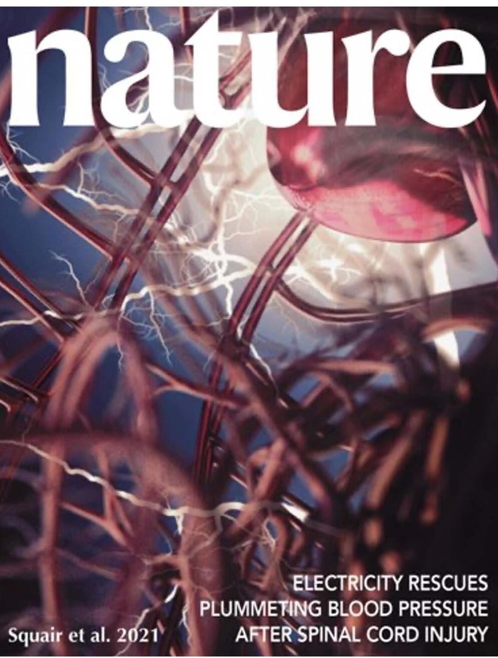 nature 2021 cover