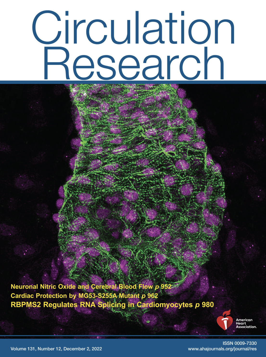 Circulation Research Cover
