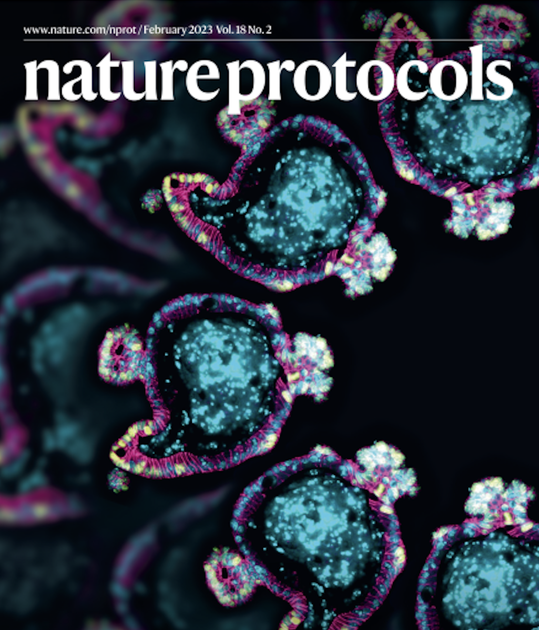 nat protocols feb 2023