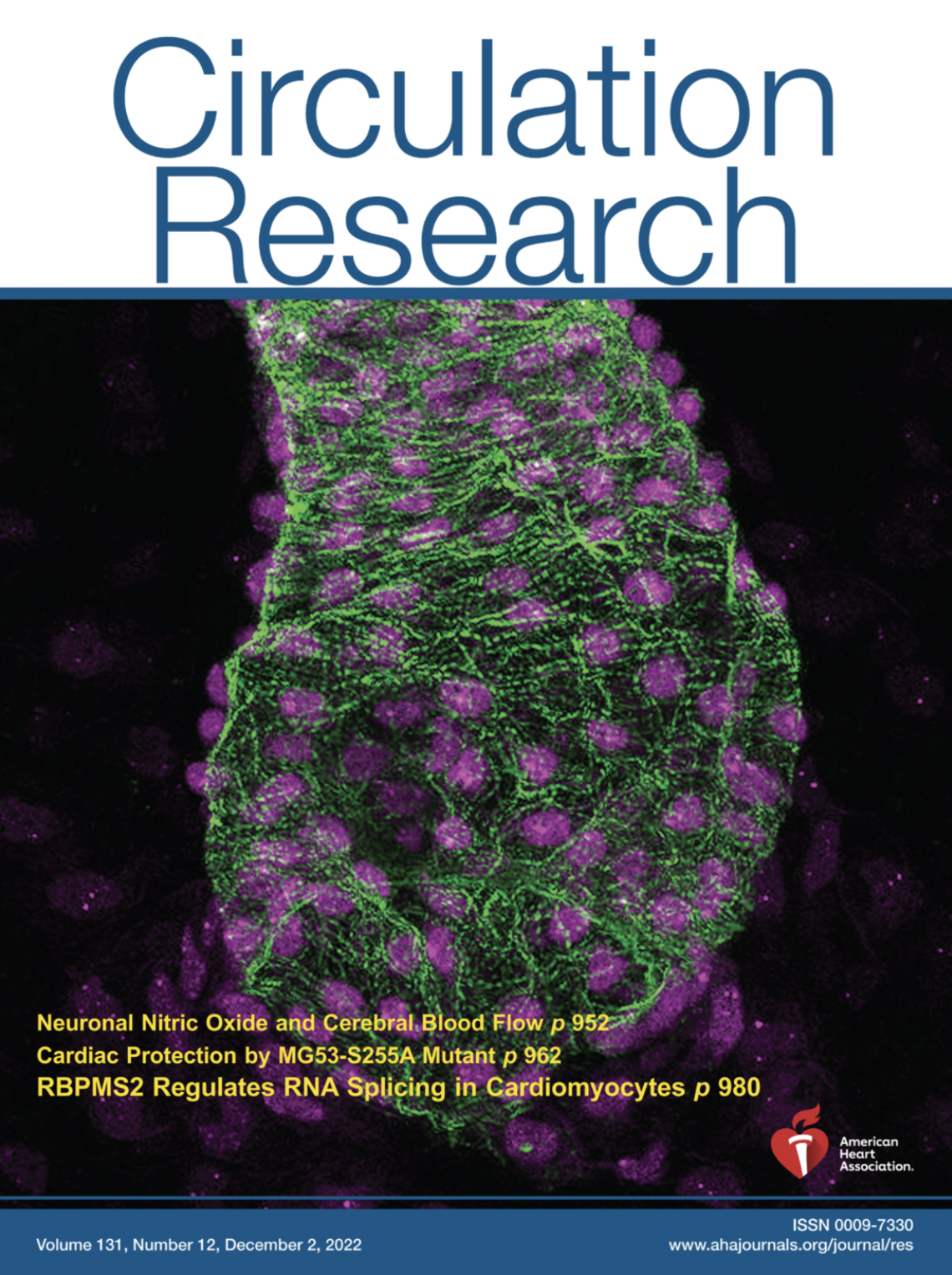 circ cover
