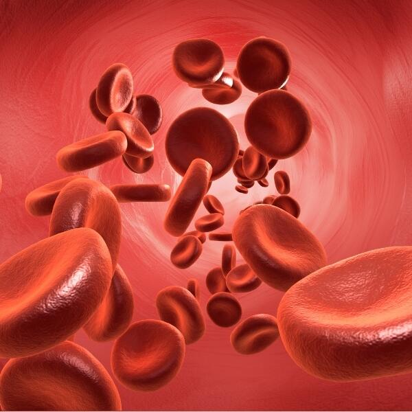 Red blood cells