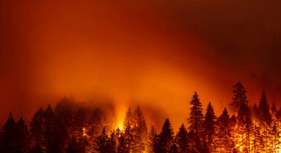 wildfire triggers