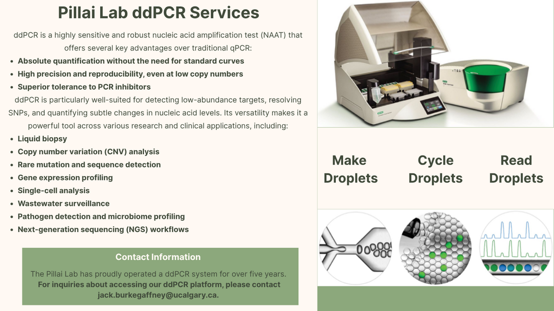 ddPCR