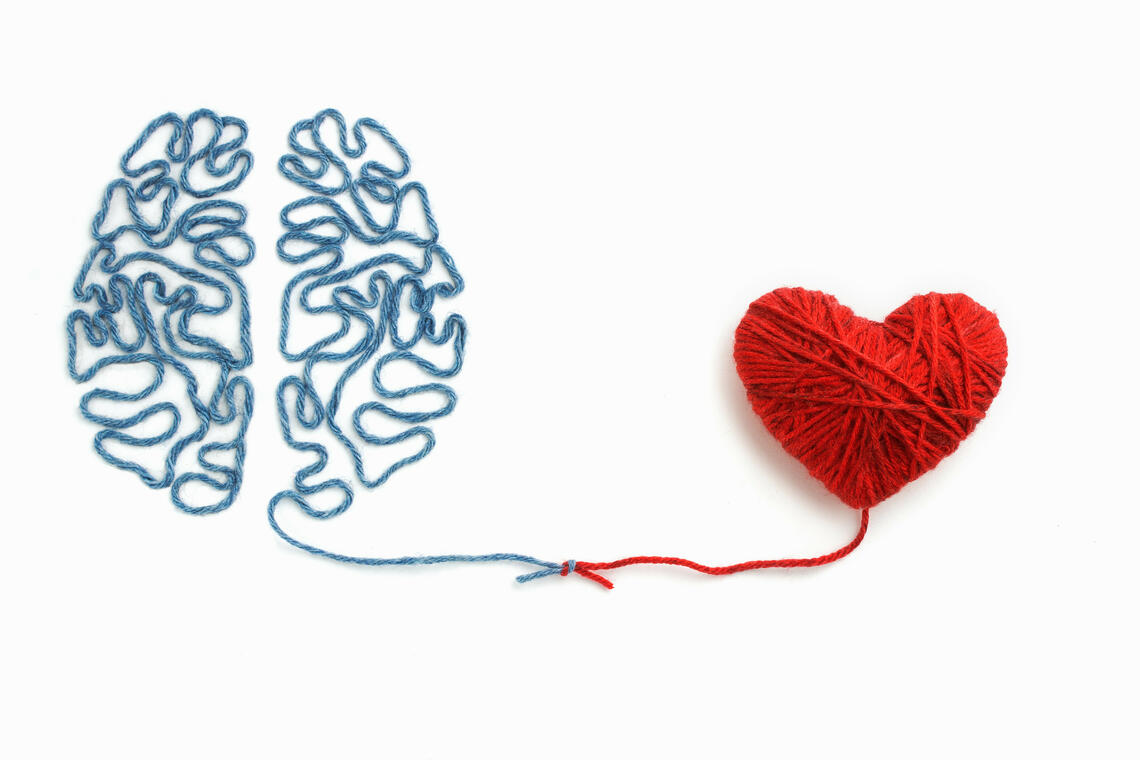 heart and brain together