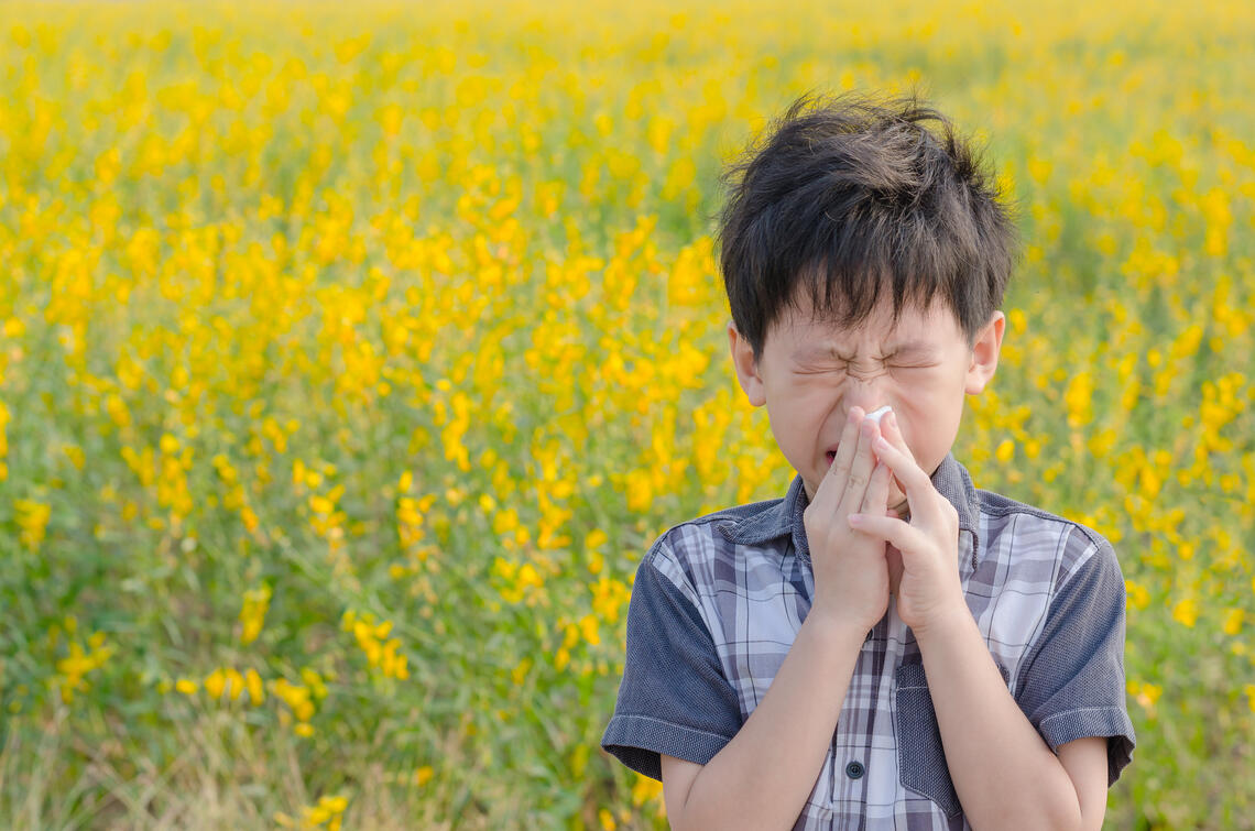 allergies 1