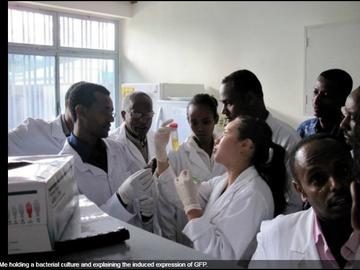 Ethiopia Field School 2010