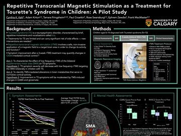 TICS Pilot Study