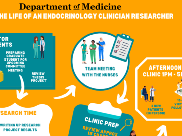 A Day in the Life of an Endocrinology Clinician Researcher