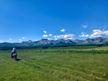 lethbridge 2