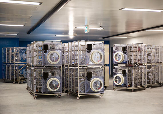 A 'germ-free' lab at the International Microbiome Centre at the University of Calgary