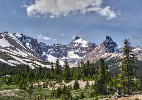 Visiting Alberta Resident Electives