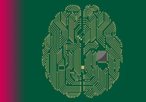 Circuit Brain