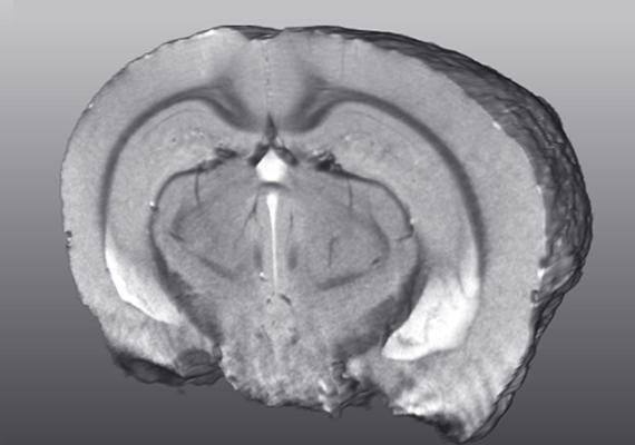 Experimental Imaging Centre