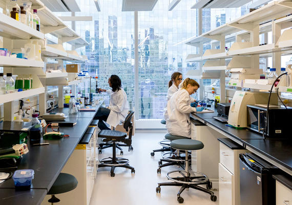 lab image