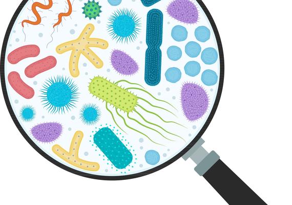 Microbiome Device Study