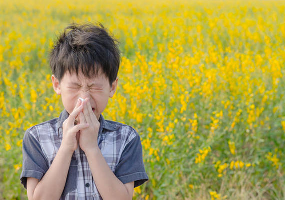 Allergies