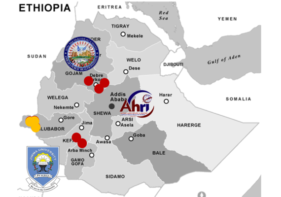 LAMPREG Sites Ethiopia