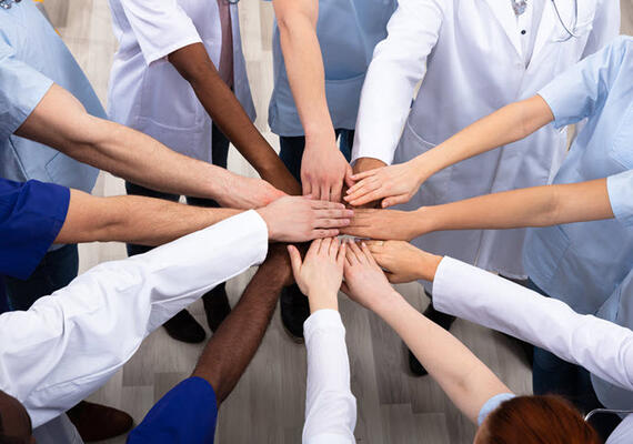 Our Team