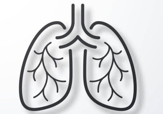 All About Asthma 2