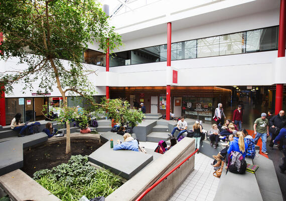 Picture of UofC campus