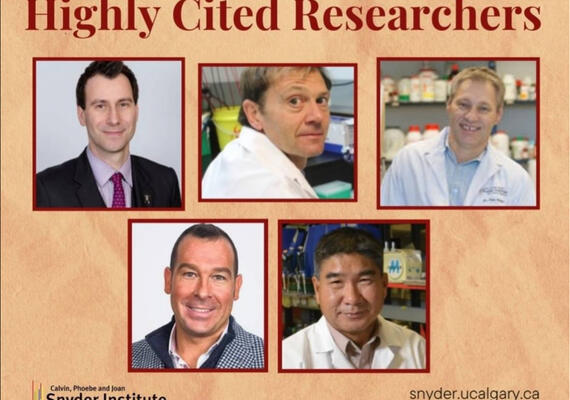 Dr. Pitout Highly Cited Researcher