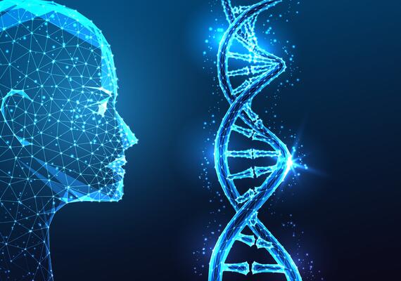Credit: Colourbox: AI genetics and biotechnology concept with AI robotic head examining DNA strand on dark blue background