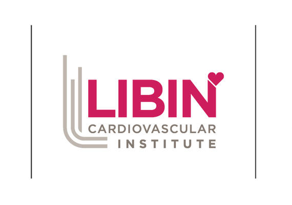 Libin Logo