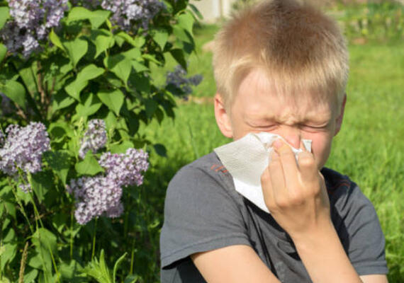 Allergies 8