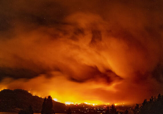 wildfire