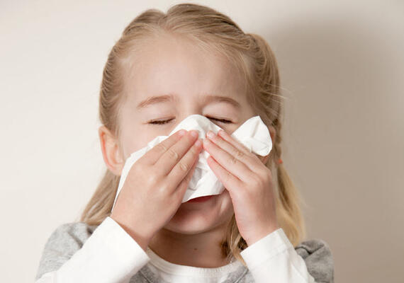 Allergies 2b