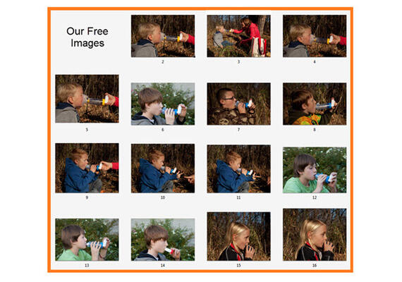Free Images 2