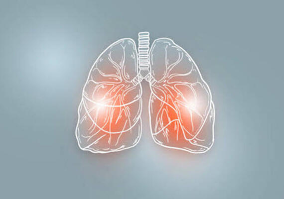Lungs 5