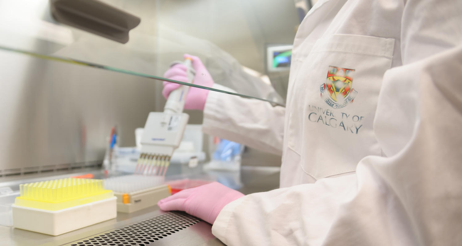 Bone and joint researcher at work