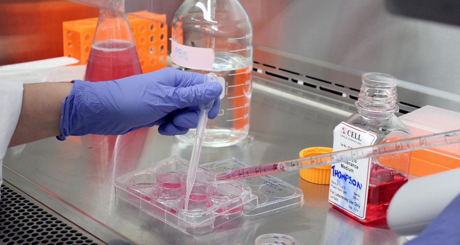 Cardiovascular research in action