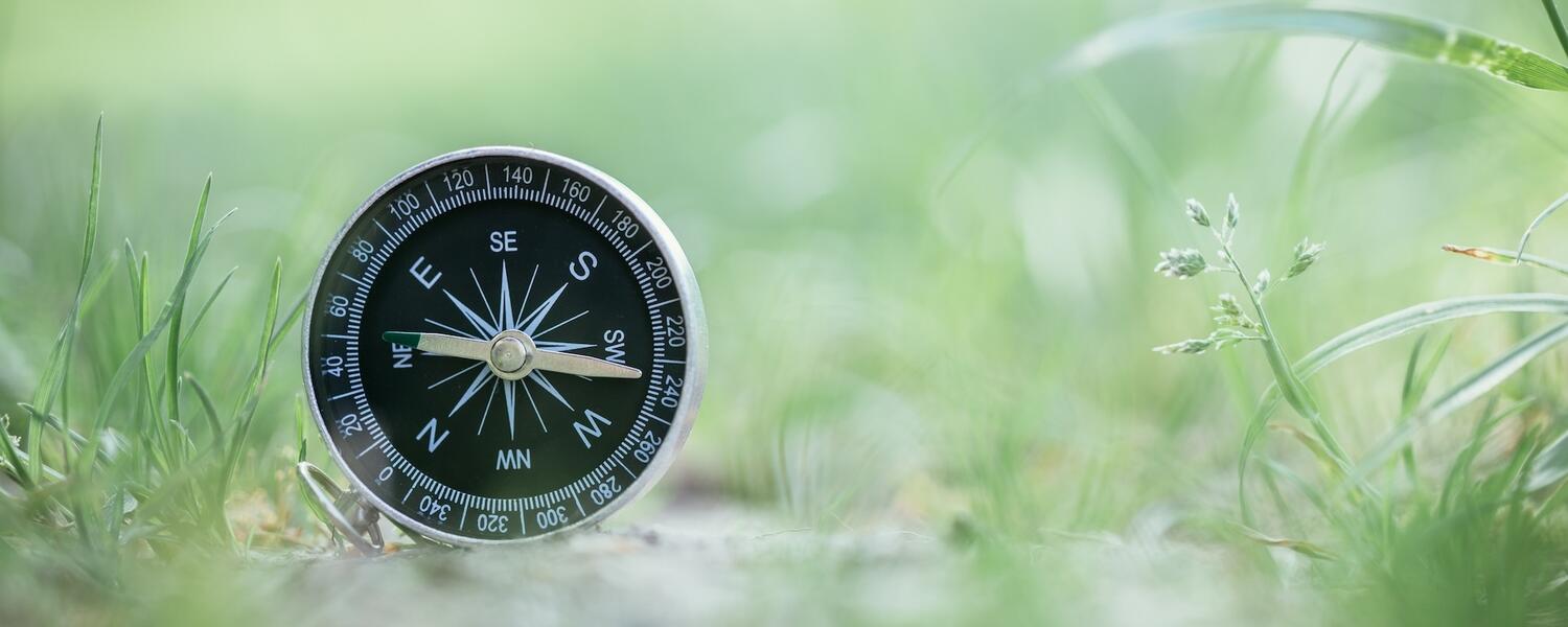 Compass on grass
