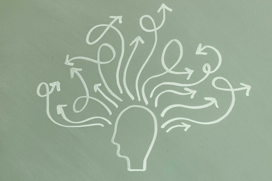 brain