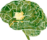 Brainchild