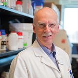 Dr. Greg Cairncross, MD