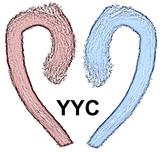 YYC logo