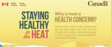 infographic thumbnail