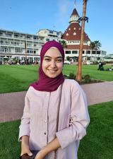 Raneem Sheronick