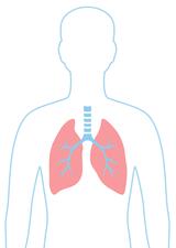 Illustration of outline of person with lungs