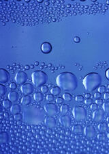 fish mercury testing at acft