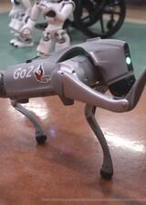 Robotdog